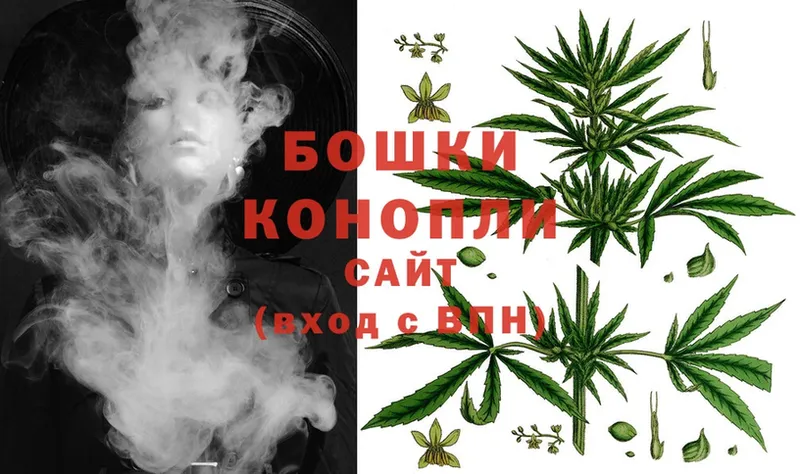 Каннабис SATIVA & INDICA  Вязьма 